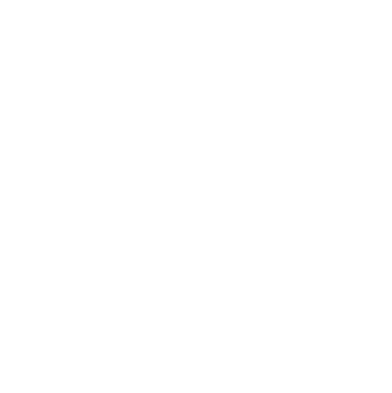 Pirati logo